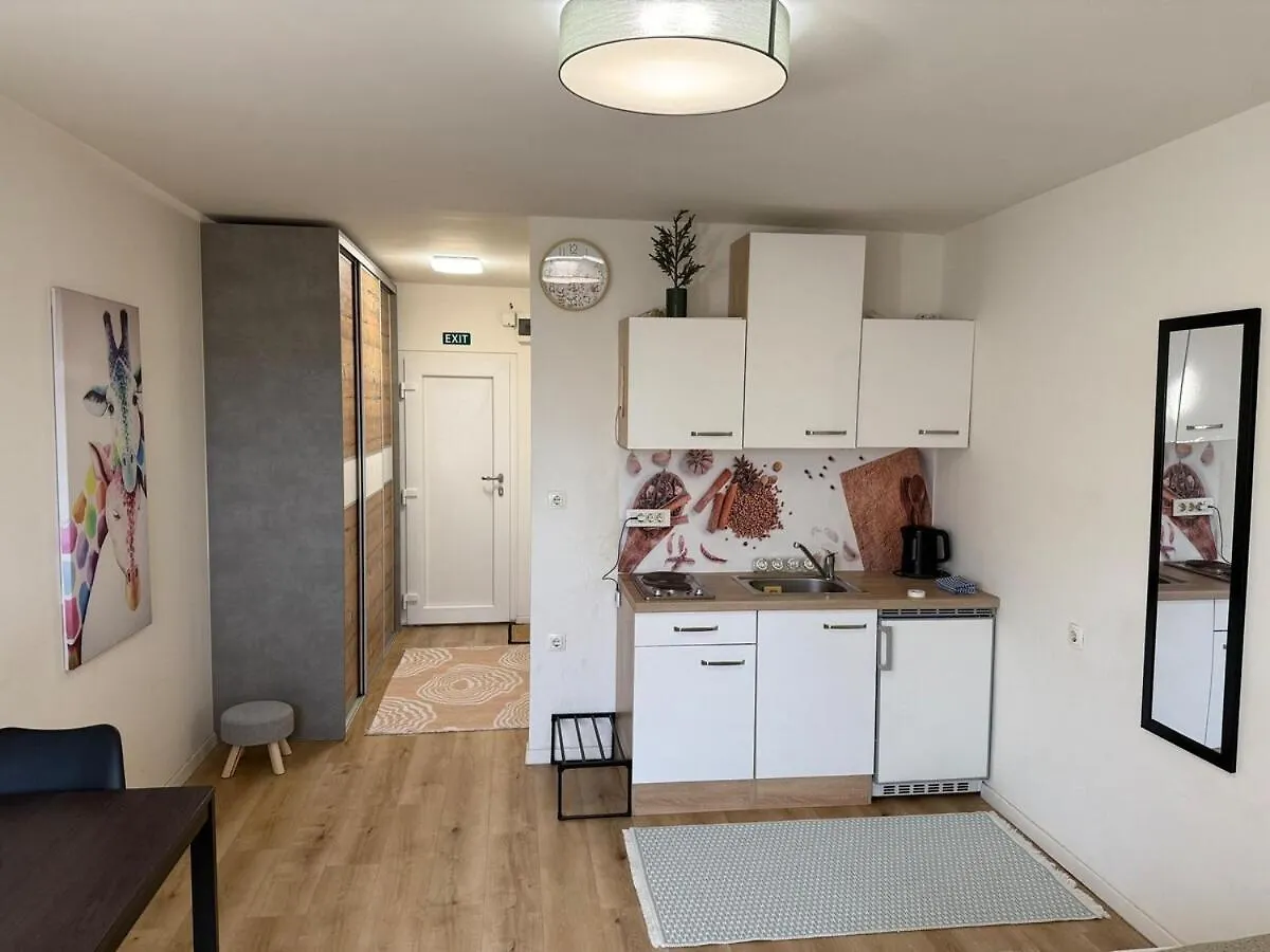 Cozy & Renovated Apartment In A Practical Location Ljubljana