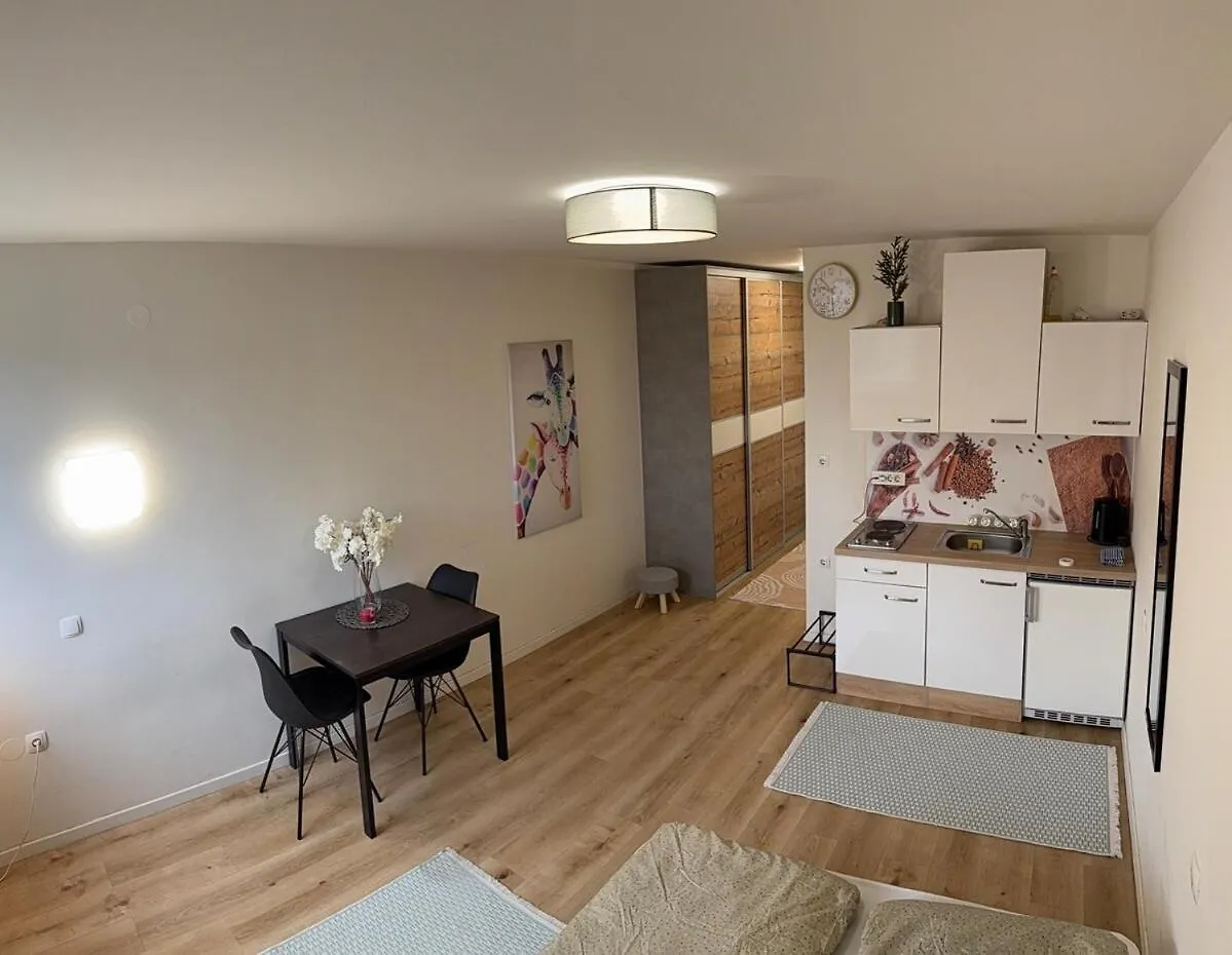 Cozy & Renovated Apartment In A Practical Location Ljubljana